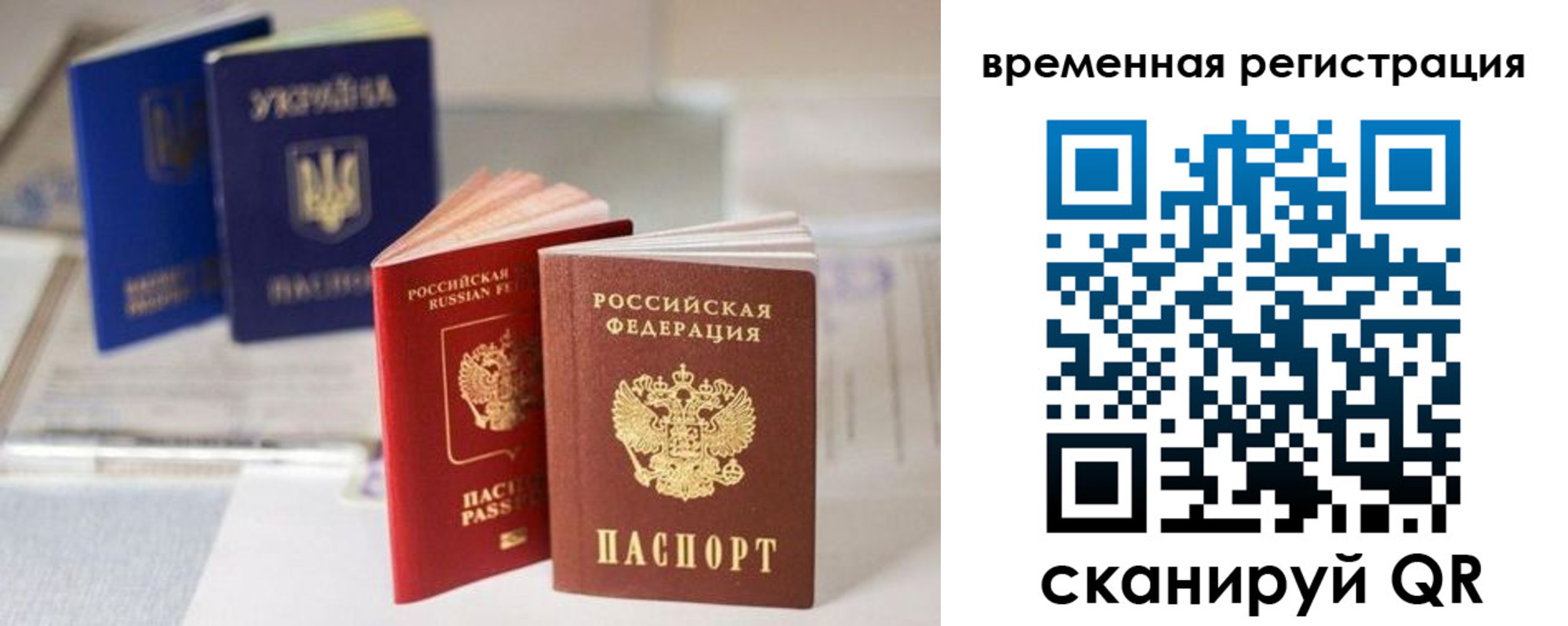 прописка поиск в Новочеркасске